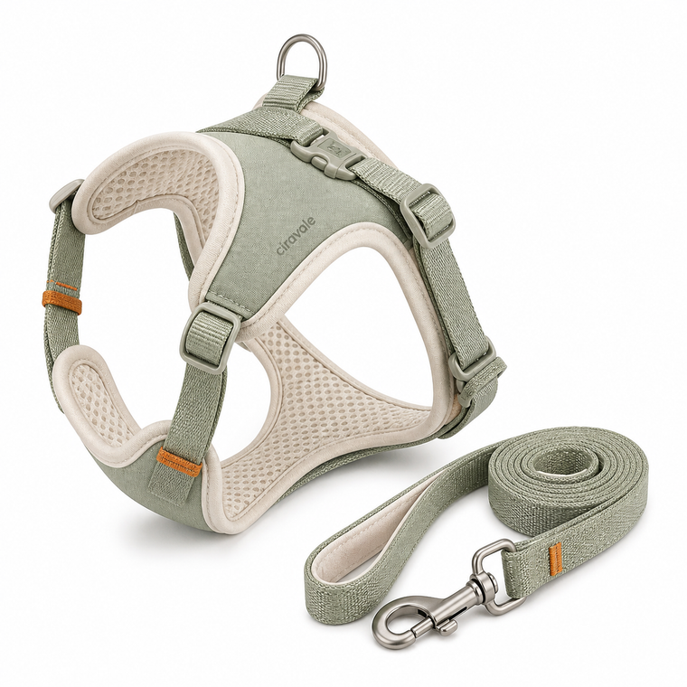 Ciravale adjustable comfort-fit pet harness and leash set main product image